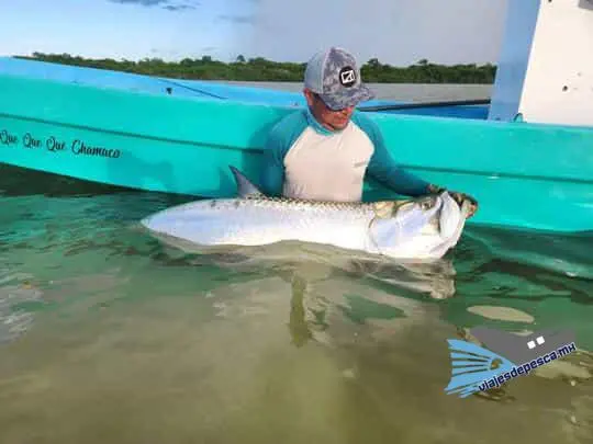 Chetumal Fly Fishing House 12