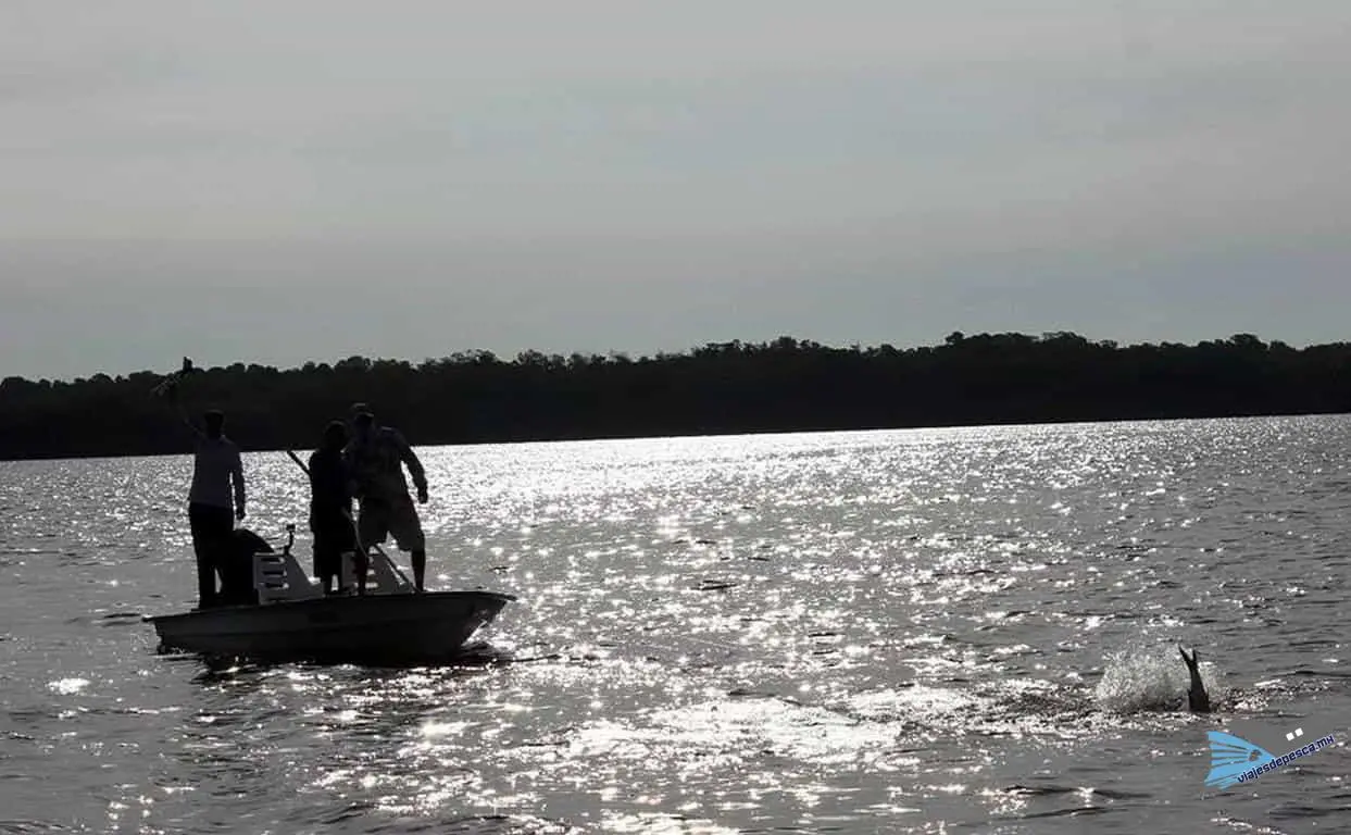 Mangrove King Fishing Lodge 06