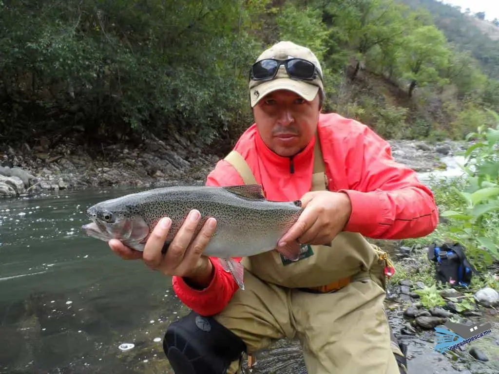 Rio Pedregoso 17